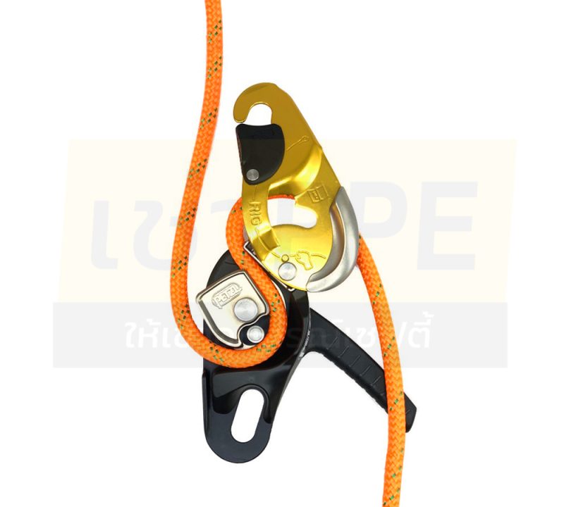 54.3 RIG®